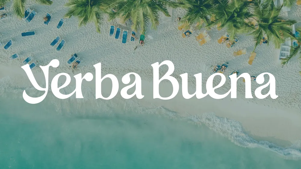 Yerba Buena & The Brito Family: How This Dominican Power Couple Is Elevating Brooklyn's Cannabis Scene with Culture and Community - Press coverage of Yerba Buena Brooklyn dispensary