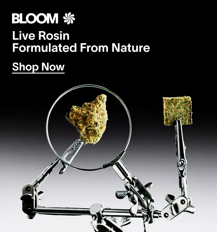 Bloom @ Yerba Buena  - Yerba Buena Brooklyn cannabis event