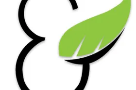 Chime and Chill: Rare Cannabinoids & THC-Free Wellness