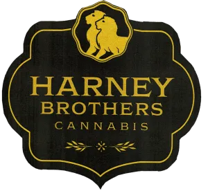 Harney Brothers at Yerba Buena
