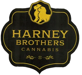 Harney Brothers at Yerba Buena