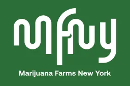 MFNY at Yerba Buena