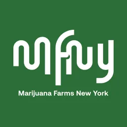 MFNY