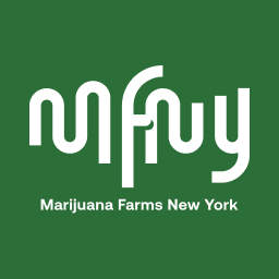 MFNY